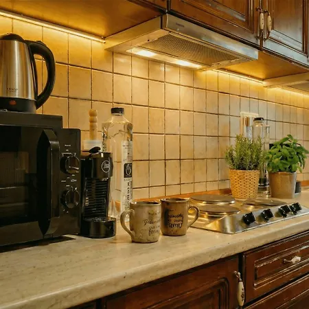 Appartement Boutique With Skyline Views In Timişoara