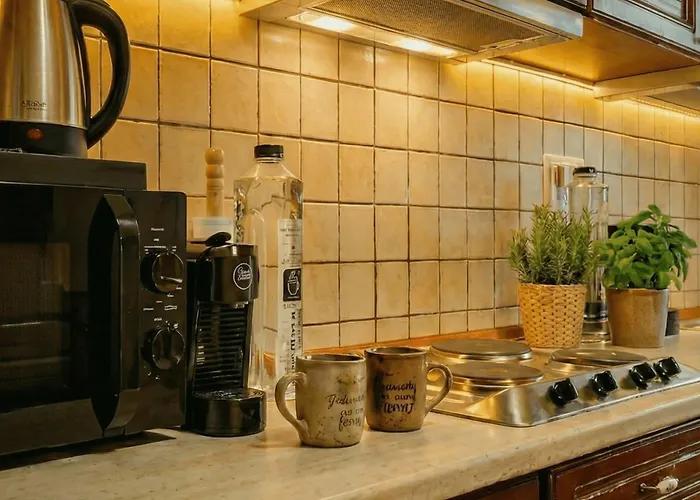 Appartement Boutique With Skyline Views In Timişoara